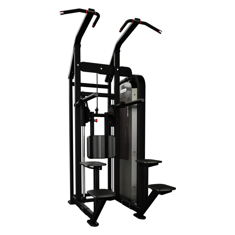 chin-dip-assist-image-main