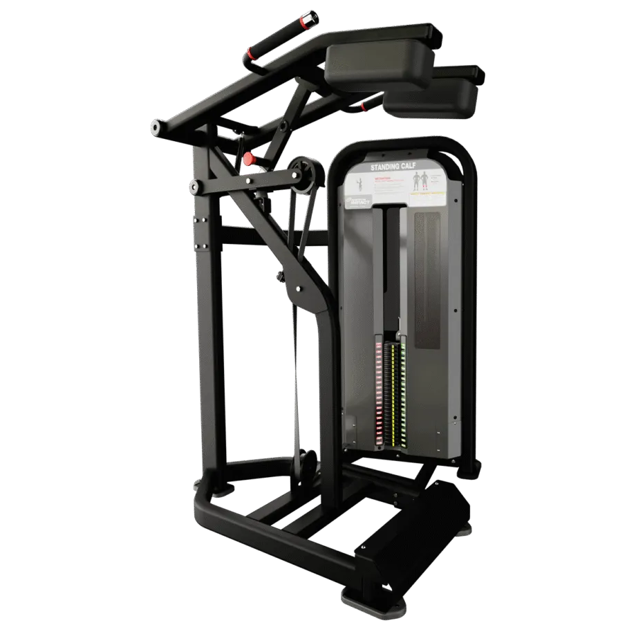 standing-calf-image-main