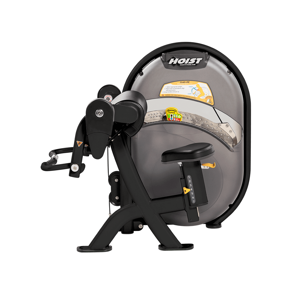 Club Line Bicep Curl