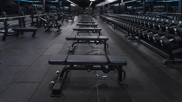 Bänkar & Bänkpressar